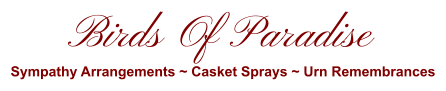 Birds Of Paradise Sympathy Arrangements ~ Casket Sprays ~ Urn Remembrances