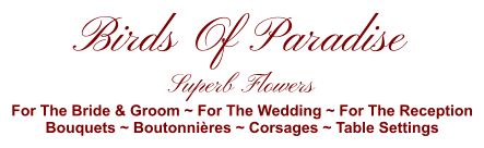 Birds Of Paradise Superb Flowers For The Bride & Groom ~ For The Wedding ~ For The Reception Bouquets ~ Boutonnières ~ Corsages ~ Table Settings